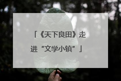 《天下良田》走进“文学小镇”