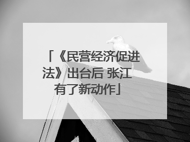 《民营经济促进法》出台后 张江有了新动作