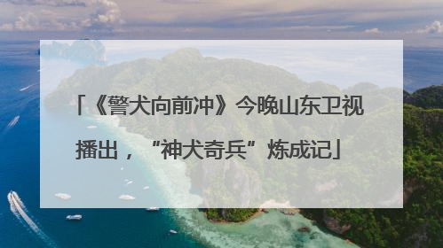 《警犬向前冲》今晚山东卫视播出，“神犬奇兵”炼成记