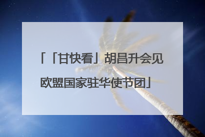 「甘快看」胡昌升会见欧盟国家驻华使节团