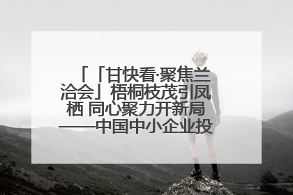 「甘快看·聚焦兰洽会」梧桐枝茂引凤栖 同心聚力开新局——中国中小企业投资洽谈会侧记