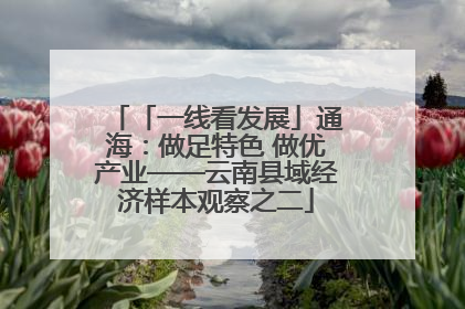 「一线看发展」通海：做足特色 做优产业——云南县域经济样本观察之二