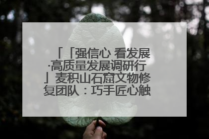 「强信心 看发展·高质量发展调研行」麦积山石窟文物修复团队：巧手匠心触摸“光阴的故事”