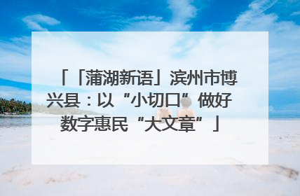 「蒲湖新语」滨州市博兴县：以“小切口”做好数字惠民“大文章”