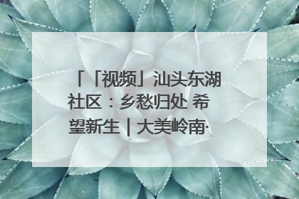 「视频」汕头东湖社区：乡愁归处 希望新生｜大美岭南·百村焕新记