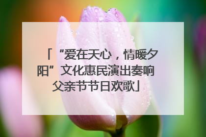 “爱在天心，情暖夕阳”文化惠民演出奏响父亲节节日欢歌