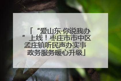 “爱山东·你说我办”上线！枣庄市市中区孟庄镇听民声办实事 政务服务暖心升级