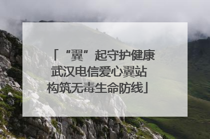 “翼”起守护健康 武汉电信爱心翼站构筑无毒生命防线
