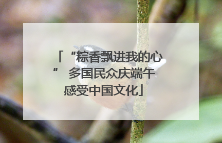 “粽香飘进我的心” 多国民众庆端午感受中国文化