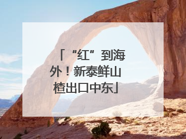 “红”到海外！新泰鲜山楂出口中东