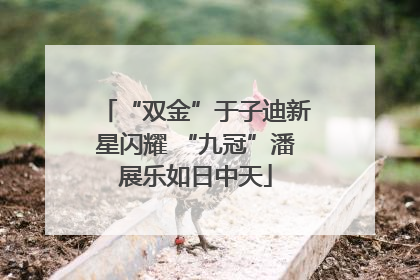 “双金”于子迪新星闪耀 “九冠”潘展乐如日中天