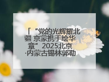 “党的光辉耀北疆 京蒙携手绘华章”2025北京·内蒙古锡林郭勒盟三地成果汇报展系列活动启动
