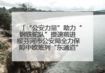 “公安力量”助力“钢铁驼队”提速前进 绥芬河市公安局全力保障中欧班列“东通道”绥芬河隧道贯通