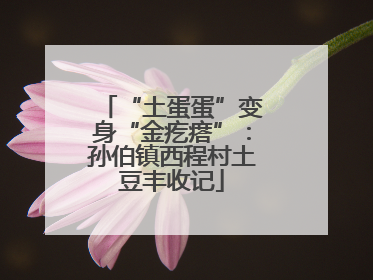 “土蛋蛋”变身“金疙瘩”：孙伯镇西程村土豆丰收记
