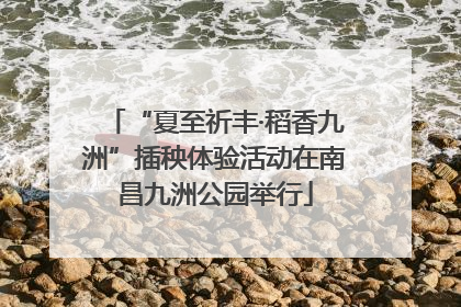 “夏至祈丰·稻香九洲”插秧体验活动在南昌九洲公园举行