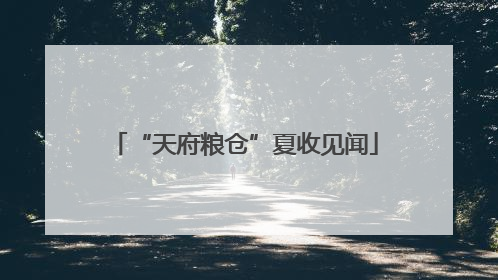 “天府粮仓”夏收见闻