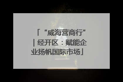 “威海营商行”｜经开区：赋能企业扬帆国际市场