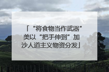 “将食物当作武器” 美以“把手伸到”加沙人道主义物资分发