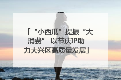 “小西瓜”提振“大消费” 以节庆IP助力大兴区高质量发展