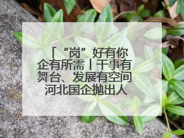 “岗”好有你 企有所需丨干事有舞台、发展有空间 河北国企抛出人才“橄榄枝”