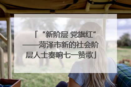 “新阶层 党旗红”——菏泽市新的社会阶层人士奏响七一赞歌