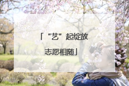 “艺”起绽放 志愿相随