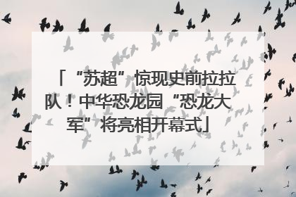 “苏超”惊现史前拉拉队！中华恐龙园“恐龙大军”将亮相开幕式