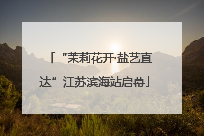 “茉莉花开·盐艺直达”江苏滨海站启幕