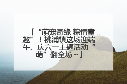 “萌宠奇缘 粽情童趣”！桃浦镇这场迎端午、庆六一主题活动“萌”翻全场～