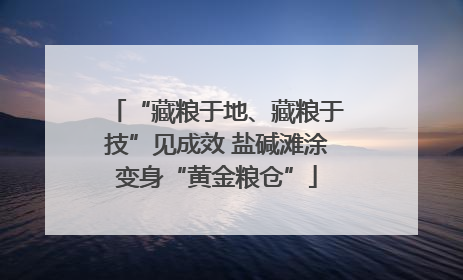 “藏粮于地、藏粮于技”见成效 盐碱滩涂变身“黄金粮仓”