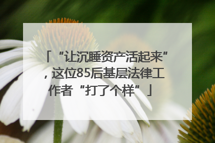 “让沉睡资产活起来”，这位85后基层法律工作者“打了个样”