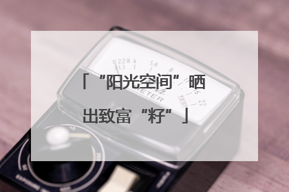 “阳光空间”晒出致富“籽”
