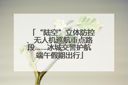 “陆空”立体防控、无人机巡航重点路段……冰城交警护航端午假期出行