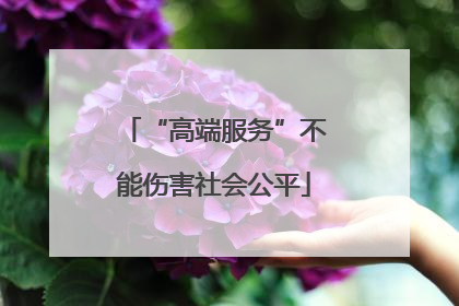 “高端服务”不能伤害社会公平