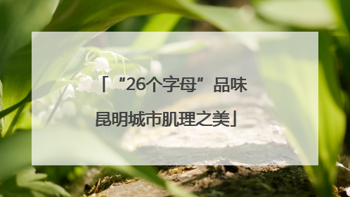 “26个字母”品味昆明城市肌理之美