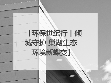环保世纪行｜倾城守护 巢湖生态环境新蝶变