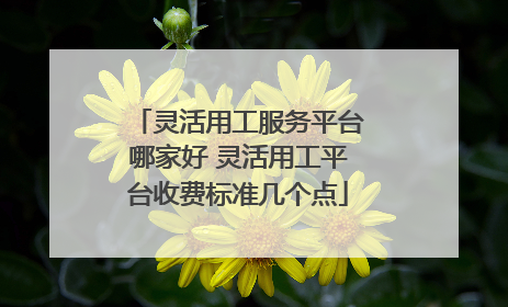 灵活用工服务平台哪家好 灵活用工平台收费标准几个点