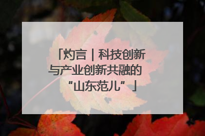 灼言｜科技创新与产业创新共融的“山东范儿”