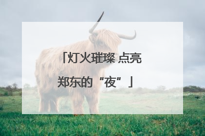 灯火璀璨 点亮郑东的“夜”