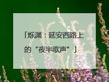 烁渊：延安西路上的“夜半歌声”