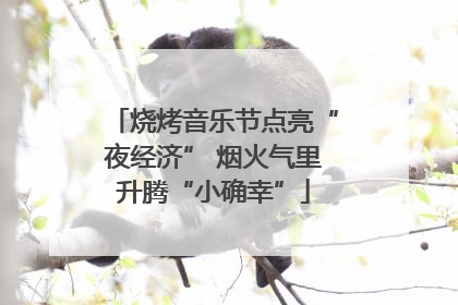 烧烤音乐节点亮“夜经济” 烟火气里升腾“小确幸”