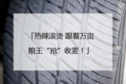 热辣滚烫 跟着万亩粮王“抢”收麦！