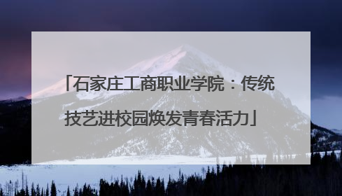 石家庄工商职业学院：传统技艺进校园焕发青春活力