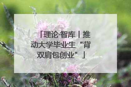 理论·智库丨推动大学毕业生“背双肩包创业”