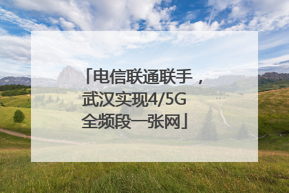 电信联通联手，武汉实现4/5G全频段一张网