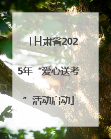 甘肃省2025年“爱心送考”活动启动