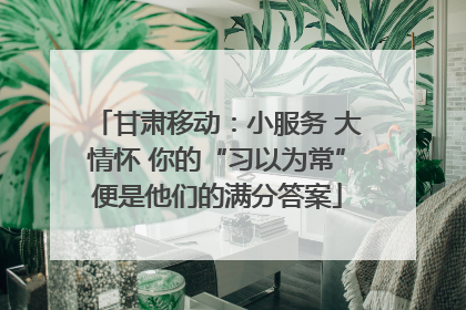 甘肃移动：小服务 大情怀 你的“习以为常”便是他们的满分答案
