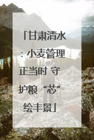 甘肃清水：小麦管理正当时 守护粮“芯”绘丰景