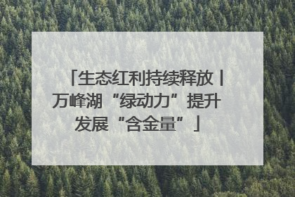 生态红利持续释放丨万峰湖“绿动力”提升发展“含金量”
