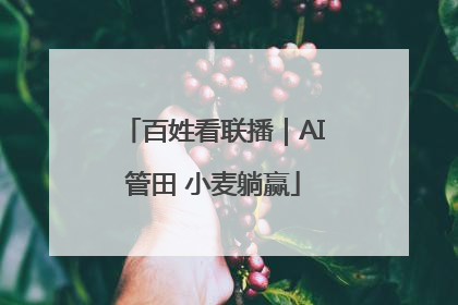 百姓看联播｜AI管田 小麦躺赢